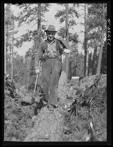 Grant County, Oregon. Malheur National Forest. Lumberjack in the woods