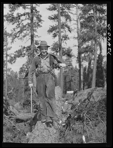 Untitled photo, possibly related to: Grant County, Oregon. Malheur National Forest. Lumberjack in the woods