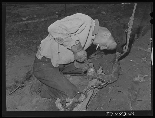 Grant County, Oregon. Malheur National Forest. Lumberjack filing point of hook used at end of log for lifting it