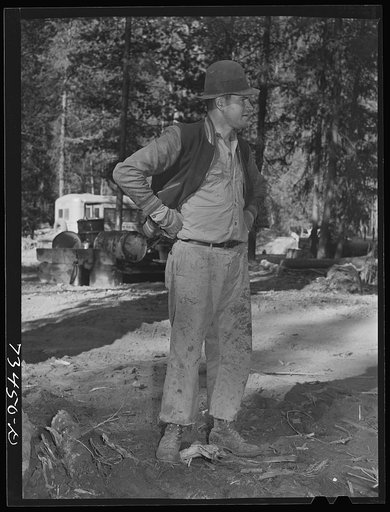 Grant County, Oregon. Malheur National Forest. Lumberjack