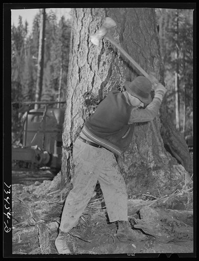 Untitled photo, possibly related to: Grant County, Oregon. Malheur National Forest. Lumberjack