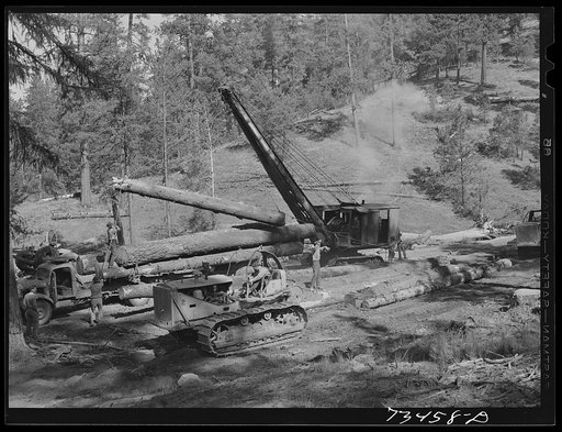 Grant County, Oregon. Malheur National Forest. Logs which have been snaked out of the woods by a Caterpillar tractor are loaded onto trucks