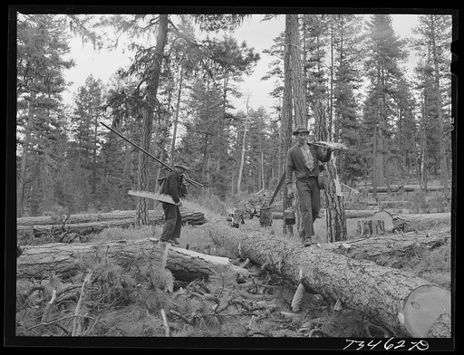 Grant County, Oregon. Malheur National Forest. Lumberjacks in the woods