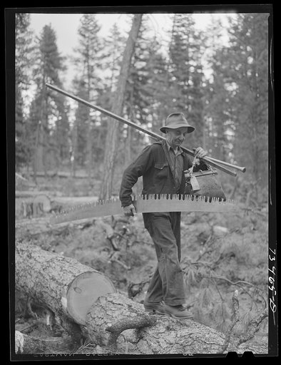 Grant County, Oregon. Malheur National Forest. Lumberjack with his tools