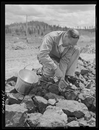 Seneca, Oregon. Agent of the metal reserves company samples specimens for assaying