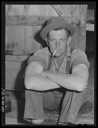 Grant County, Oregon. Malheur National Forest. Lumberjack