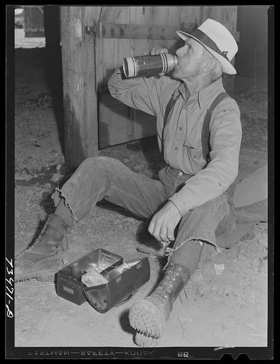 Grant County, Oregon. Malheur National Forest. Lumberjack