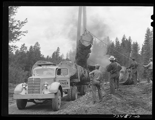 Grant County, Oregon. Malheur National Forest. Loading onto truck