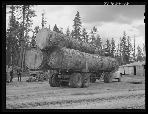 Untitled photo, possibly related to: Grant County, Oregon. Malheur National Forest. Truckload of logs