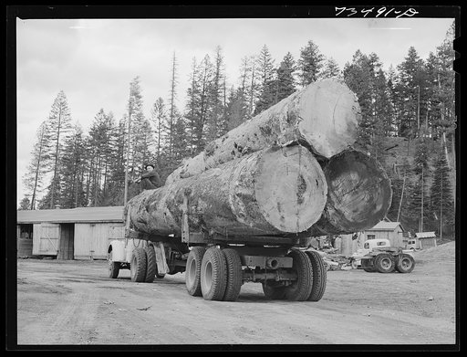Grant County, Oregon. Malheur National Forest. Truckload of logs