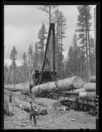 Grant County, Oregon. Malheur National Forest. Loading logs onto flatcars