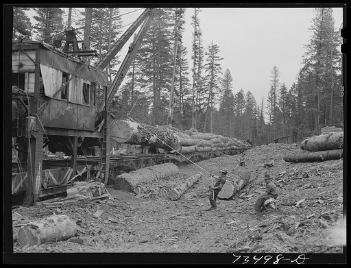 Grant County, Oregon. Malheur National Forest. Loading logs onto flatcar