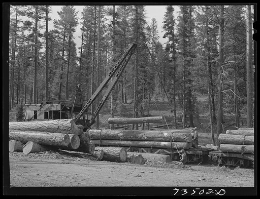 Untitled photo, possibly related to: Grant County, Oregon. Malheur National Forest. Loading logs onto flatcar