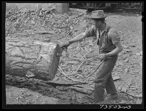 Grant County, Oregon. Malheur National Forest. Hooking cable onto log which will be loaded onto flatcar
