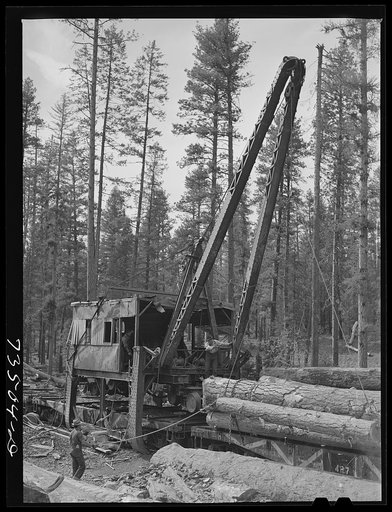 Untitled photo, possibly related to: Grant County, Oregon. Malheur National Forest. Loading logs onto flatcar
