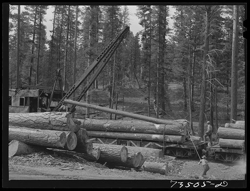 Grant County, Oregon. Malheur National Forest. Loading logs onto flatcar
