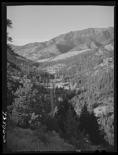 Untitled photo, possibly related to: Grant County, Oregon. Malheur National Forest. Valley of the Canyon creek
