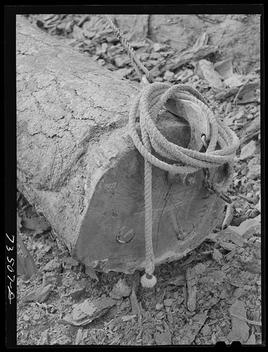 Grant County, Oregon. Malheur National Forest. The day's work is done at logging camp