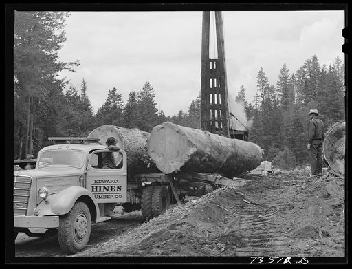 Untitled photo, possibly related to: Grant County, Oregon. Malheur National Forest. Loading large logs on truck