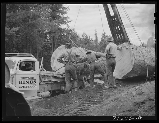 Grant County, Oregon. Malheur National Forest. Loading large logs on truck