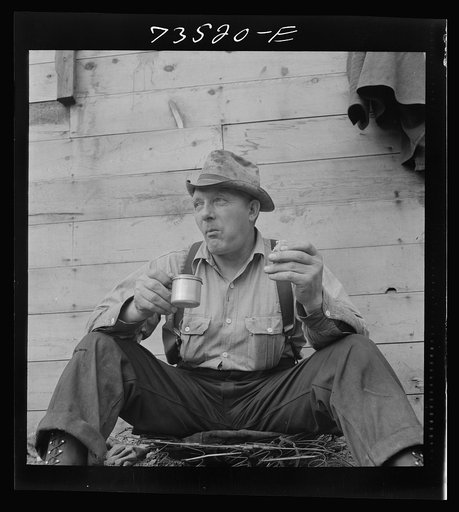 Grant County, Oregon. Malheur National Forest. Lumberjack