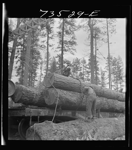 Grant County, Oregon. Malheur National Forest. Loading logs on flatcar