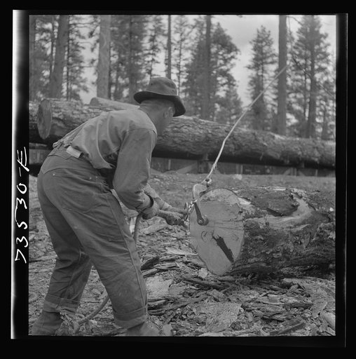 Grant County, Oregon. Malheur National Forest. Lumberjack putting hook into log which will be loaded onto flatcar