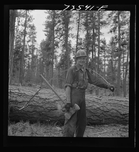 Grant County, Oregon. Malheur National Forest. Lumberjack