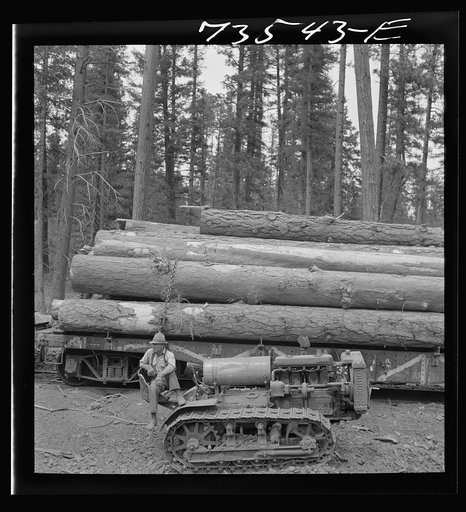 Untitled photo, possibly related to: Grant County, Oregon. Malheur National Forest. Caterpillar tractor and logs