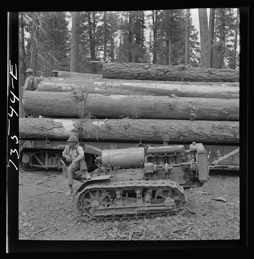 Grant County, Oregon. Malheur National Forest. Caterpillar tractor and logs