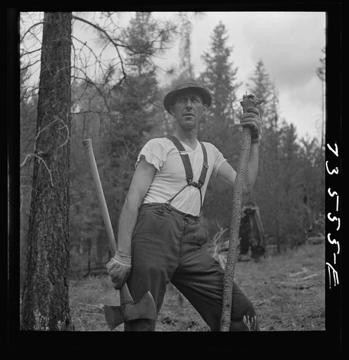 Grant County, Oregon. Malheur National Forest. Lumberjack