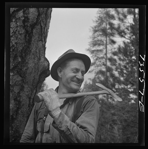 Untitled photo, possibly related to: Grant County, Oregon. Malheur National Forest. Lumberjack