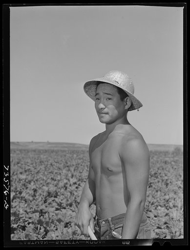 Nyssa, Oregon. FSA (Farm Security Administration) mobile camp. Japanese-American man who was evacuated from a coastal area, volunteered for farm work and who now lives at the camp