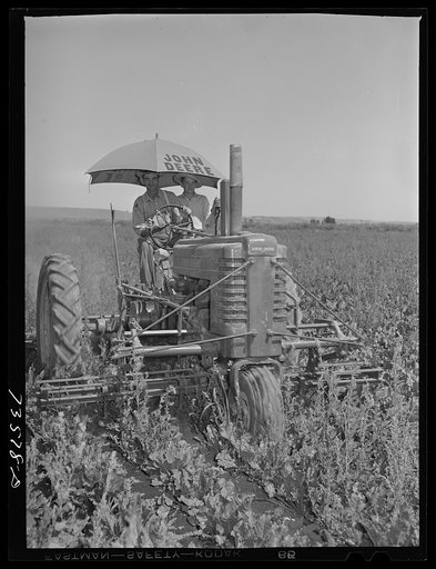 Nyssa, Oregon (vicinity). White farmer and his son who hire Japanese-American family to work and live on their farm