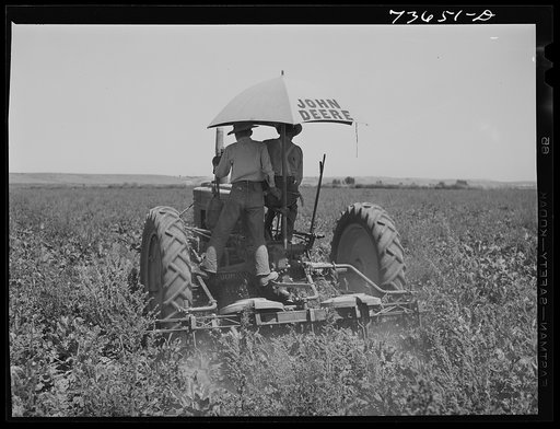 Nyssa, Oregon. White farmer and son who employs Japanese-American labor
