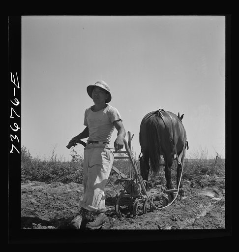 Nyssa, Oregon. FSA (Farm Security Administration) mobile camp. Japanese-American farm worker who lives at the camp