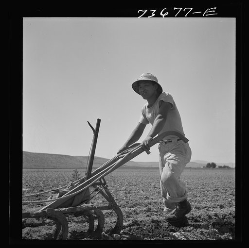 Untitled photo, possibly related to: Nyssa, Oregon. FSA (Farm Security Administration) mobile camp. Japanese-American farm worker who lives at the camp