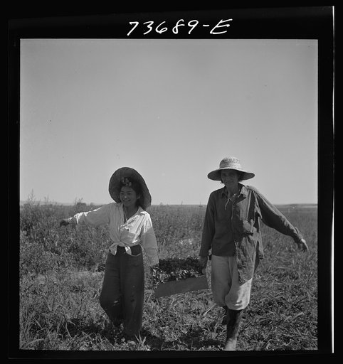 Nyssa, Oregon. FSA (Farm Security Administration) mobile camp. Japanese-American farm worker