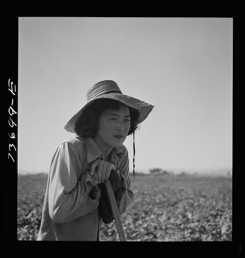 Untitled photo, possibly related to: Nyssa, Oregon. FSA (Farm Security Administration) mobile camp. Japanese-American farm worker
