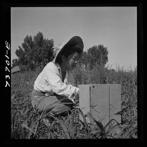 Untitled photo, possibly related to: Nyssa, Oregon. FSA (Farm Security Administration) mobile camp. Japanese-American farm worker