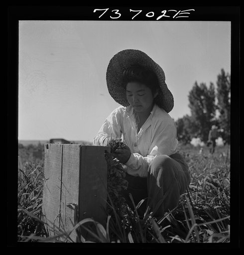 Nyssa, Oregon. Japanese-American farm worker