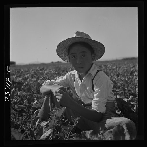 Nyssa, Oregon. FSA (Farm Security Administration) mobile camp. Japanese-American farm worker