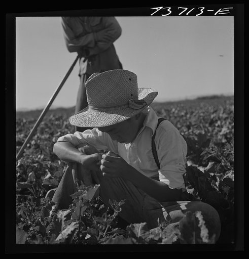 Untitled photo, possibly related to: Nyssa, Oregon. FSA (Farm Security Administration) mobile camp. Japanese-American farm worker