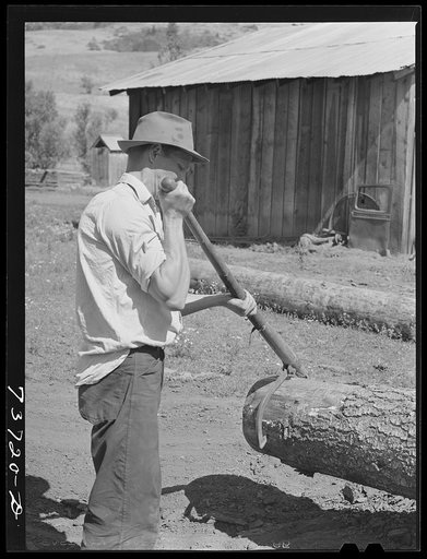 Untitled photo, possibly related to: Ola, Idaho. FSA (Farm Security Administration) Ola self-help cooperative. A member uses a peavy to move a log