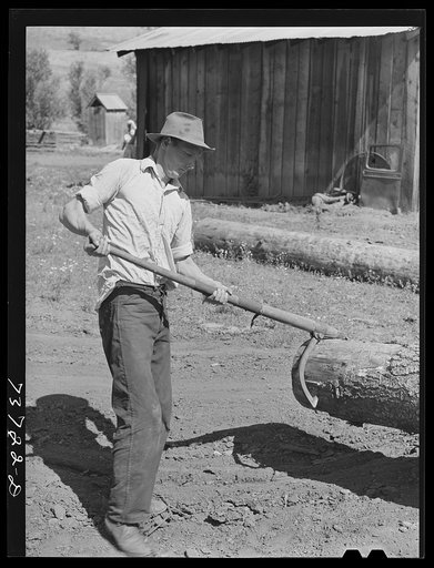Ola, Idaho. FSA (Farm Security Administration) Ola self-help cooperative. A member uses a peavy to move a log