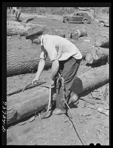 Ola, Idaho. FSA (Farm Security Administration) Ola self-help cooperative. A member places a hook on a log