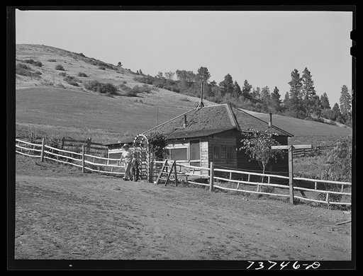 Ola, Idaho. FSA (Farm Security Administration) Ola self-help cooperative. Home of a member