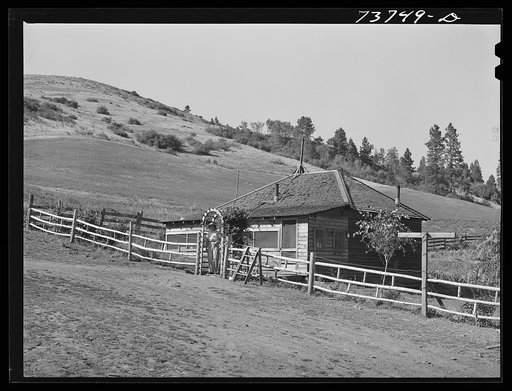 Untitled photo, possibly related to: Ola, Idaho. FSA (Farm Security Administration) Ola self-help cooperative. Home of a member