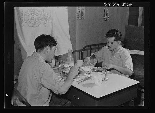 Twin Falls, Idaho. FSA (Farm Security Administration) farm workers' camp. Japanese who live at the camp