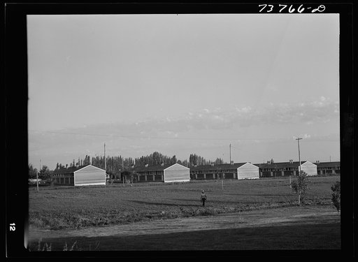 Twin Falls, Idaho. FSA (Farm Security Administration) farm workers' camp. Row shelters in which the Japanese live
